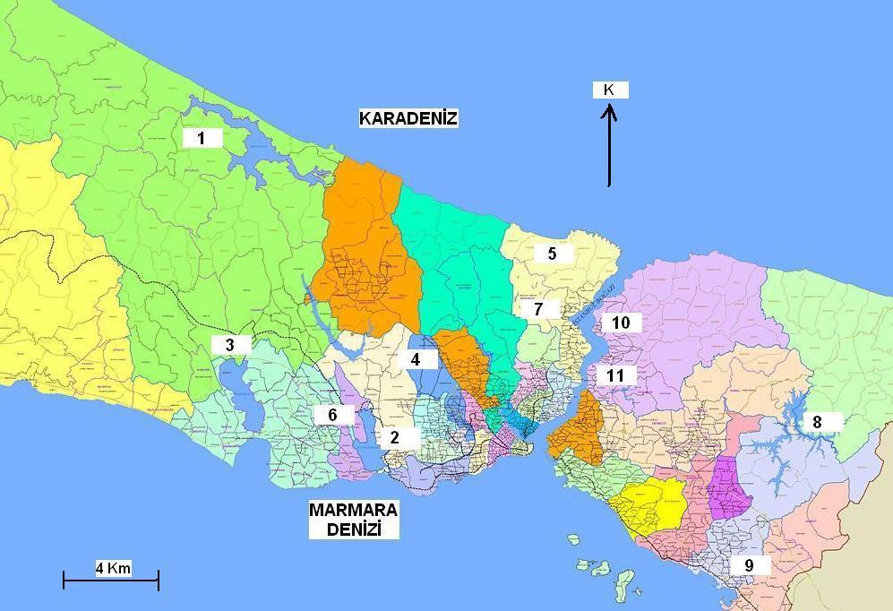 İstanbul un Trakya ve Anadolu Yakasında Yaşayan Lissotriton vulgaris (Linnaeus,1758) Populasyonlarının Biyometrik Özelliklerinin Karşılaştırılması Şekil 1.