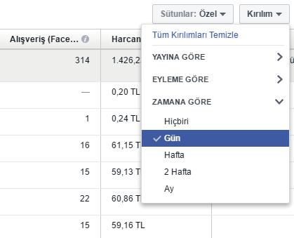 Dönüşüm ve Sonuç Başına Maliyet Güne göre dönüşüm eğilimlerini gözden geçirin.