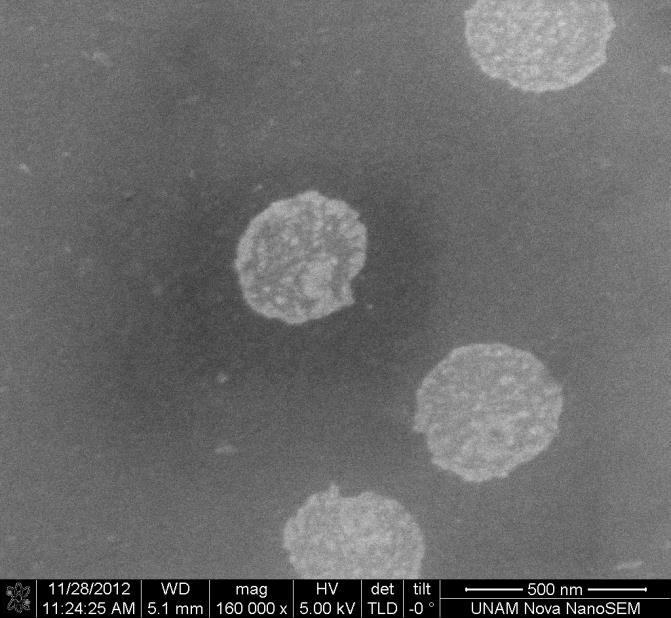 PNiPAAm nanojellerin aseton-su ortamında diğerlerine oranla daha büyük çıktığını görmüştük.