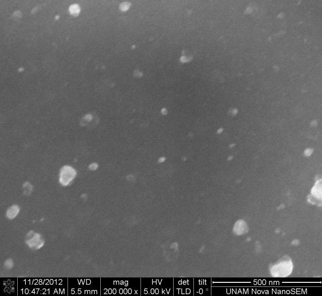 40000 molekül ağırlıklı PNiPAAm dan 5 kgy ışınlanarak elde edilen nanojelin SEM görüntüleri Şekil 5.