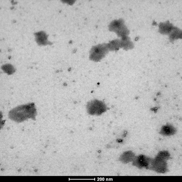 Şekil 5.17 de 40000 molekül ağırlıklı PNiPAAm ın 5 kgy ışınlama ile elde edilen nanojellerinin negatif boyama sonrasında alınmış TEM görüntüleri verilmektedir.