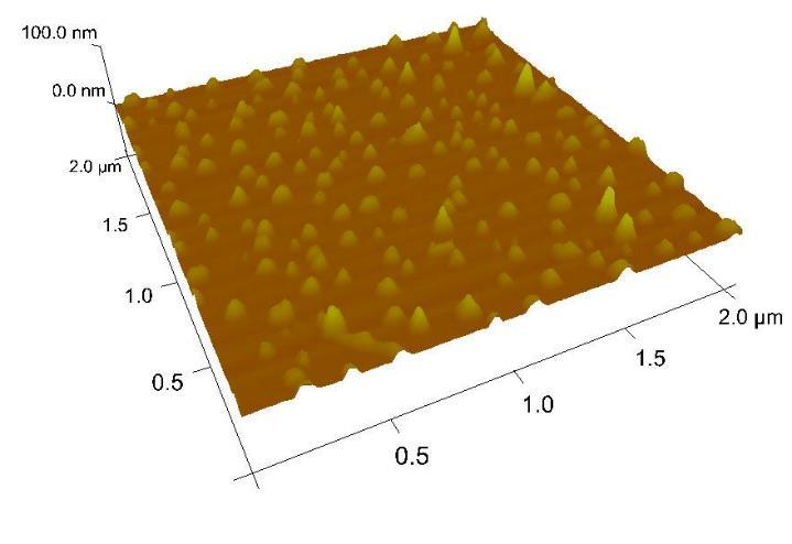 15000 molekül ağırlığındaki PNiPAAm nanojellerin agregasyon sonucu birleşerek daha büyük partiküller oluşturduğu AFM görüntülerinde de