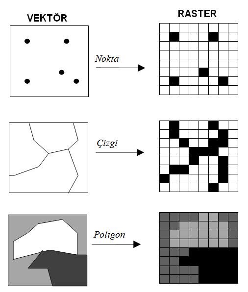 Vektörel gösterimde olduğu gibi, nokta, çizgi ve poligon şeklindeki coğrafik elementlerin gösterimleri, raster veri modeliyle de ifade edilebilirler.
