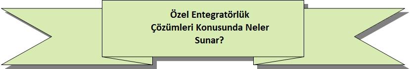 E-fatura uygulaması kapsamında SMMM lere ve işletmelerine daha kaliteli ve geniş kapsamlı hizmet sunmak üzere TÜRMOB (Türkiye Serbest Muhasebeci Mali Müşavirler ve Yeminli Mali Müşavirler Odaları