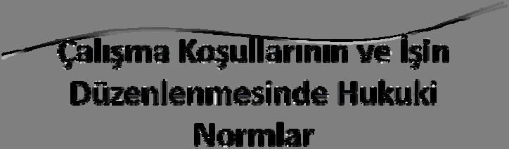 Çalışma Koşullarının ve İşin Düzenlenmesinde Hukuki Normlar Yd Yrd. Doç. Dr.