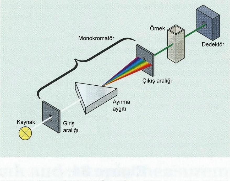 Spektrofotometre Işık kaynağı; UV ışık bölgesindeki ölçümlerde 200-340 nm dalga boyları arasında radyasyon oluşturan yüksek basınçlı hidrojen ve döteryum lambası, görünür ışık bölgesi için 300-840 nm