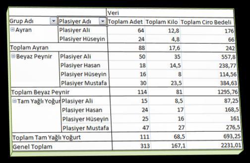 Analiz Tarih/Grup/Şube