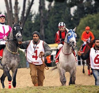 2012 nin de flampiyon Arap taylar ndan biridir. Baba Mevlüt ile birlikte sezon boyunca çok say da yar flta öne ç kan Yaln zefe, bu önemli rakibinin olmad bu kofluda net bir favoriydi.