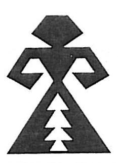 İslam sanatının en karakteristik motifidir. Geometrik Motifler Kare, üçgen, çokgen, yıldız vb. yalın formların birleşiminden oluşan birçok geometrik motif bulunmaktadır.