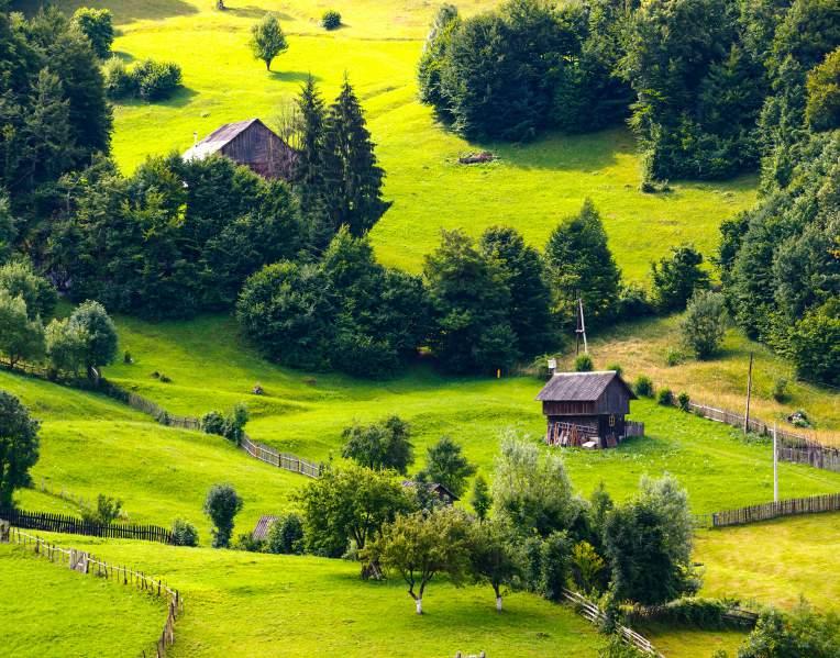 Tariful include: 4 nopți de cazare la hotel 3*+ în Vârtop, Parcul Natural Apuseni; Mic dejun și cină + un pahar de apă și vin la masă; Vizite conform descrierii; Transport cu autocar/ microbuz