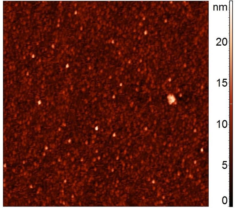 Şekil 4.40 2 no lu Ni-Mn-Ga ince filminin iki boyutlu AKM görüntüsü (10 µm 10 µm) Şekil 4.41 2 no lu Ni-Mn-Ga ince filminin üç boyutlu AKM görüntüsü Çizelge 4.