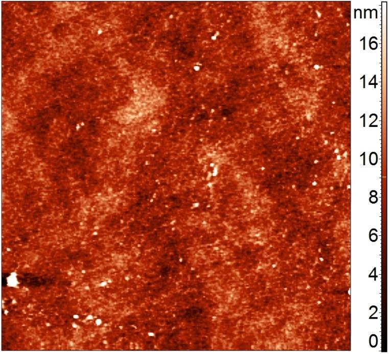 Şekil 4.42 8 no lu Ni-Mn-Ga ince filminin iki boyutlu AKM görüntüsü (10 µm 10 µm) Şekil 4.43 8 no lu Ni-Mn-Ga ince filminin üç boyutlu AKM görüntüsü Çizelge 4.