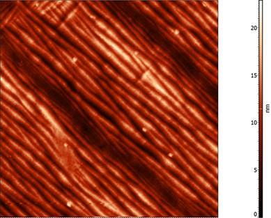 Şekil 4.61 3 no lu Ni-Co-Mn-Al ince filminin AKM görüntüsü (10 µm 10 µm) Bu görüntülere incelendiğinde tüm manyetik ince filmlerde mantensit faza ait olan ikizlenmeler gözlemlenmiştir.