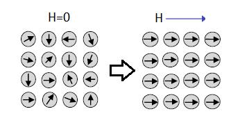 2.1.2 Paramanyetizma Paramanyetik malzemeler atomik veya moleküler elektron yörüngelerindeki çiftlenmemiş elektronların spinlerinden dolayı net manyetik momente sahiptirler.