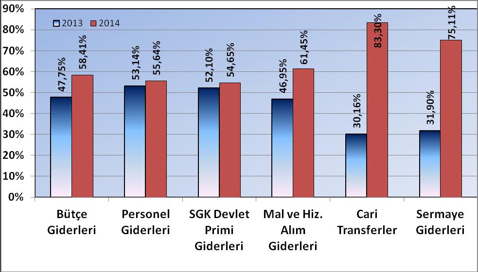 2. OCAK-HAZİRAN 2014 DÖNEMİ BÜTÇE UYGULAMA SONUÇLARI A.