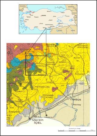 Giriş Manyezit, bir magnezyum karbonat olup (MgCO 3 ) teorik olarak %47,62 MgO ve %52,38 CO 2 içermesine karşın, değişik oranlarda demir, kalsiyum, mangan ve alüminyum elementlerini bulundurur.