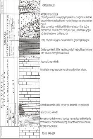 yer alan demirli minerallerle, kırmızı kahverenkli boyanan serpantinitler ortaya çıkmıştır (Şekil 3g).