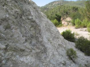 Bu tipe giren yataklar; Koyakçı Tepe yatağının alt kesimleri ile Kozağaç yatağı ve Toppınar zuhurudur (Şekil 4).