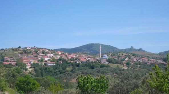 Meyvelik-zeytinlik alanlarının genişlediği bölgeler daha çok dağın kuzeybatısına denk gelmektedir (Foto 4 ve 5).