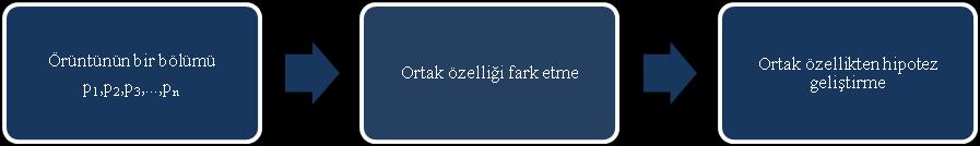 106 S. Yeşildere-İmre, H. Akkoç, B. N. Baştürk-Şahin Ayırt etme Transfer etme Şekil 2.