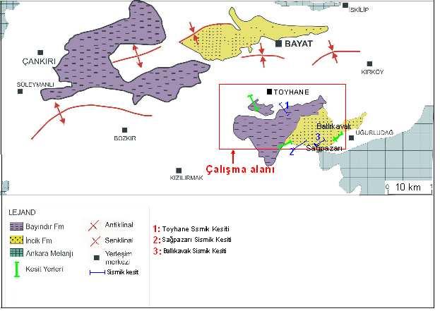 Şekil 3.2 İnceleme alanında yüzeylenen formasyonlar ve yer altı değerlendirmelerinde kullanılan sismik kesitlerin yerlerini gösteren harita (Tepecik 2007 ten düzeltilmiştir) 3.