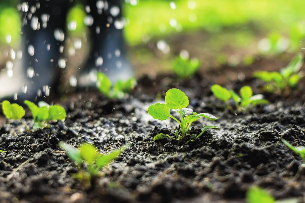 ORGANİK SIVI SOLUCAN GÜBRESİ Ürün Özellikleri SolumPower, %100 organik sıvı solucan gübresi olup bitkinin Solum2Soil'le taban gübrelemesi yapıldıktan sonra üst gübrelemesinin yapılarak bitkiye