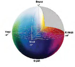 2) CIE L*C*H* Renk Evreni: CIE L*C*H* de aynı XYZ renk uzayını kullanmakla birlikte Parlaklık, Doygunluk ve Hue açısının küresel koordinatlarını kullanır.