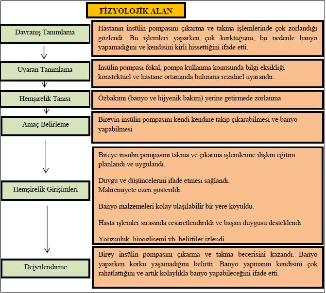 Bu olgu sunumu; T1DM li olan adölesanın insülin pompası uyum sorunlarının çözümüne yönelik planlanan hemşirelik bakımında Roy Adaptasyon Modeli nin kullanımını kapsamaktadır.