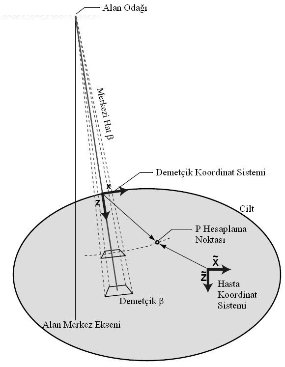 Şekil 2.6.1.1: X-Z Düzleminde Hasta Koordinat Sistemi ve Demetçik Koordinat Sistemindeki Koordinatlar [17] Klinik ana demet, sınırlı boyutta demetçiklere (β) ayrılır.