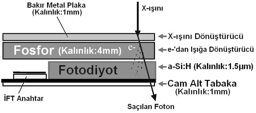 Şekil 3.1.2.3: EPGC dedektörünün kesitsel yapısı [19] Varian as1000 EPGC bazı bileşenlerden oluşmaktadır.