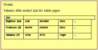 Çocuğunuz, öğrenilen yabancı dilin kültürünü anlamaya çalışıyor mu? ( bir mektup arkadaşıyla yazışmak, tatile gitmek, filmler, yabancı dil konuşan insanlar vs.