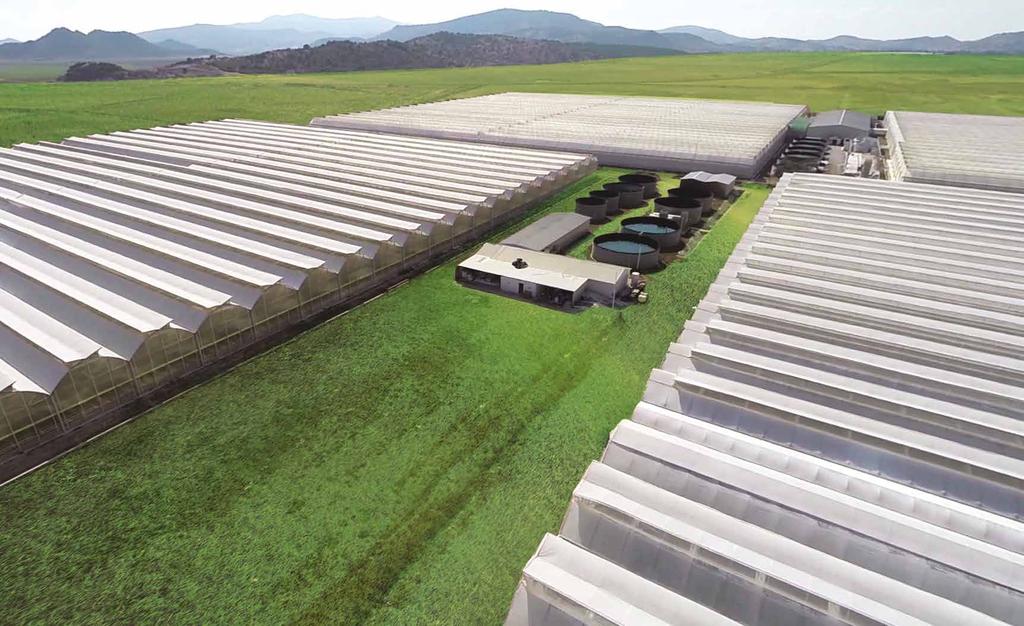 78 79 YDA Group un tarım sektöründeki iştiraki olan YDA Tarım, teknolojik sera yatırımlarıyla Türkiye nin en iyi tarım organizasyonlarından birisidir.