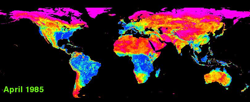 NOAA AVHRR NDVI Nisan1985 - Aralik 1988