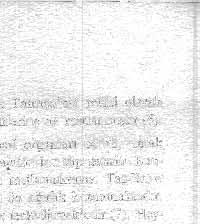 Ana Tann~a inancı, hayatın çeşitli sahalarında görühnekte, vazolar ve seramikjel' üzerinde Ana Tanrıça'yı sembolize.-eden kadın gö~üslerine r.a.st1anmaktadır «9). Bu kanaatimizi M.Ö. 18. yüzyıla a.