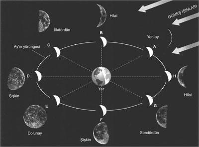 Bir ay boyunca ayın farklı yüzlerinin ışıklı olması ve ışıksız kalması sonucunda evreler oluşur (Guy ve Young, 2010).