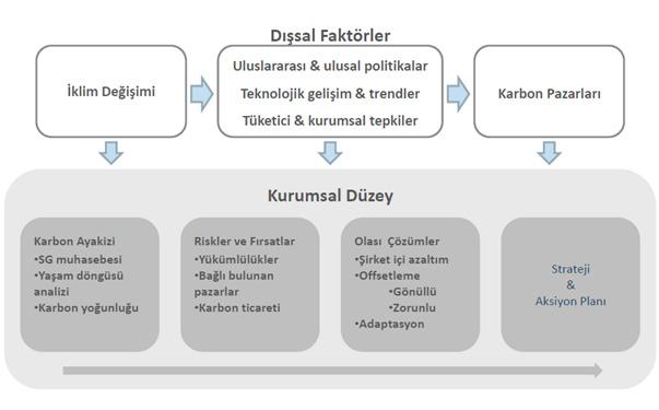 Şekil 1: Karbon Pazarları Kaynak: (Çapalov, 2011, 10) Bir ülkede kurulması gereken karbon salım ticaretine göre; işletmelerin atmosfere salabilecekleri karbondioksit miktarı sınırlandırılmaktadır.