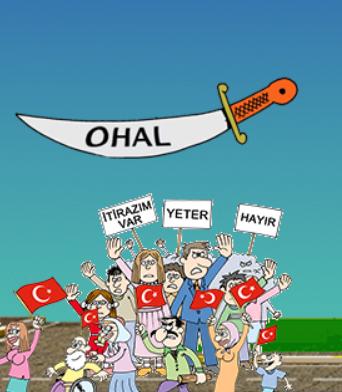 OHAL de Meclis DBP, DTK, HDK, HDP, Özgür Kadın Hareketi referanduma gidecek anayasa değişikliği teklifiyle ilgili ortak deklarasyon yayınladı.