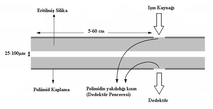 Şekil 2.5 : Eritilmiş silika kapiler kolonun iç kesiti [11]. Eritilmiş silika kapilerin iç çapı genellikle 25-100 µm arasında değişirken, dış çapı 350-400 µm kalınlığındadır.