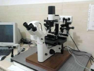 mikroskobu bulunan Leica DM IL marka optik ve Narishige MMN1 marka