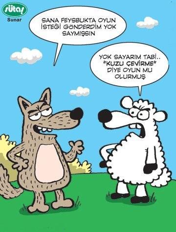 Koyun ve Keçilerde İndüksiyon Tiyopental in kullanımı yaygındır. Keçilerde indüksiyondan 20-30 dakika önce Atropin verilmesi, bradikardiyi önler.