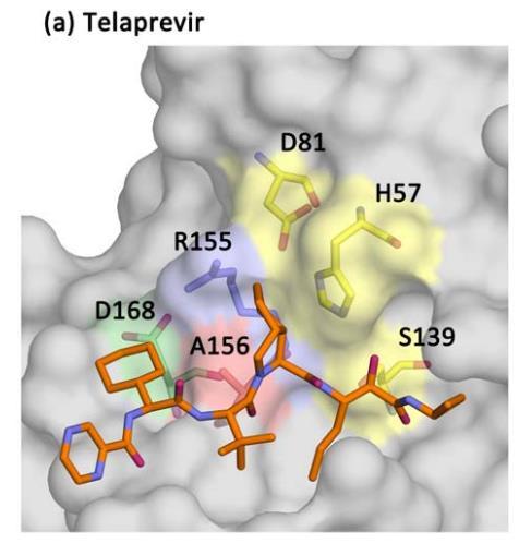 Tüm antiviral ajanlar dirençli