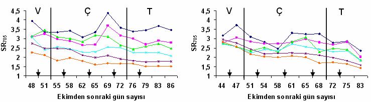 81 (a) (b) V: Vejetatif dönem, Ç: Çiçeklenme dönemi, T: Tane dolumu-hasat dönemi Şekil 4.