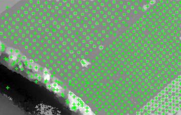 noktalarını tanımlamaktadır. komşu sınır pikselleri tarafından çevrelenen tüm dallanma noktaları izlenir ve herhangi iki dallanma noktası arasındaki tüm pikseller tek bir segmente atılır (Şekil 2b).