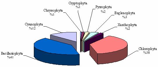 Şekil 2. Derbent Baraj Gölü nün fitoplankton kompozisyonu Figure 2. The phytoplankton composition of Derbent Dam Lake Kızılırmak; Türkiye nin en uzun akarsuyudur.