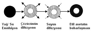 2.4.3.2.1. Düşük Dansiteli Maddeler İçererek Yüzen İlaç Şekilleri İlaç taşıyıcı sistemin mide sıvısı ile etkileştiği andan itibaren yüzmesi istenmektedir.