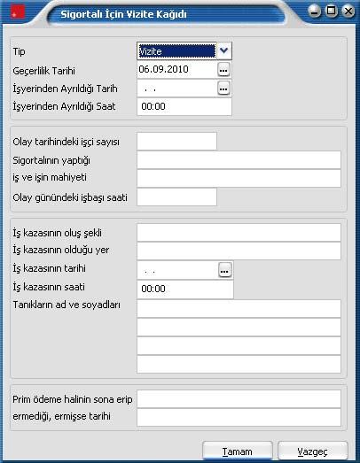 İş kazasının oluş şekli, olduğu yer, tarih ve saat: Viziteye çıkış herhangi bir iş kazasından kaynaklanıyorsa bu iş kazasına ait bilgilerdir.