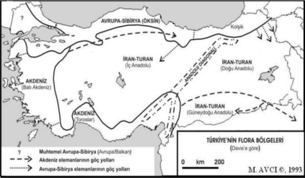 COĞRAFYA ÖĞRETİMİNDE EKOLOJİK BÖLGE KAVRAMININ KULLANIMI Şekil 2: Davis e göre Türkiye nin flora bölgeleri ve Anadolu Diagonali Her iklim belirli bir bitki topluluğunu yetişmesine olanak sağlar ve