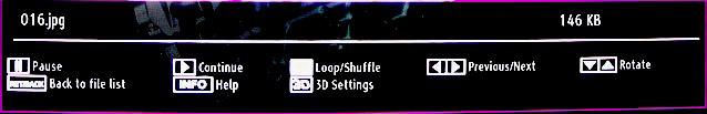 3D: Press to view 3D Settings. Subtitle/Audio (LANG. button): Sets subtitle/audio. Yellow: Opens subtitle time correction menu. Slideshow Options Pause ( button) : Pauses the slideshow.