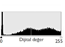 göstermektedir.