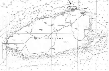 Harita 1. Gökçeada Çalışma Sahası TARTIŞMA VE SONUÇ: Çalışma sonunda bölgede üç tanesi genus seviyesinde olmak üzere 13 sünger türü tespit edilmiştir.